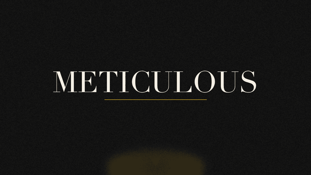 Editorial graphic of the word meticulous